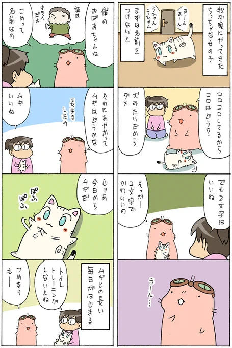 老猫と子猫が一緒に暮らしたら④
https://t.co/9QV4FAp4Kv 