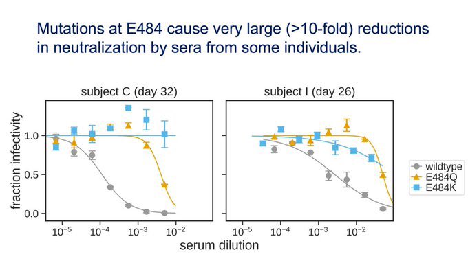 5) How much affect? the E484K shows a 10x reduction of neutralization (“neutralization” = stopping the virus)by various antibodies compared to wildtype (common  #SARSCoV2) in some patients —a rather bad thing. It means the virus with E484K is worrying for “immune escape”.