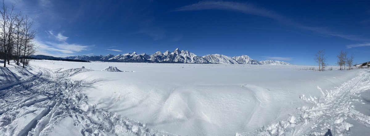 bernblue's tweet image. :)