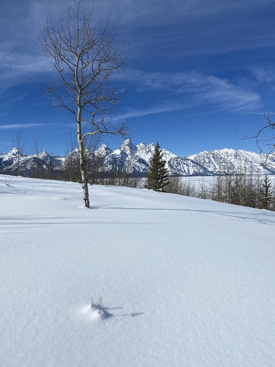 bernblue's tweet image. :)