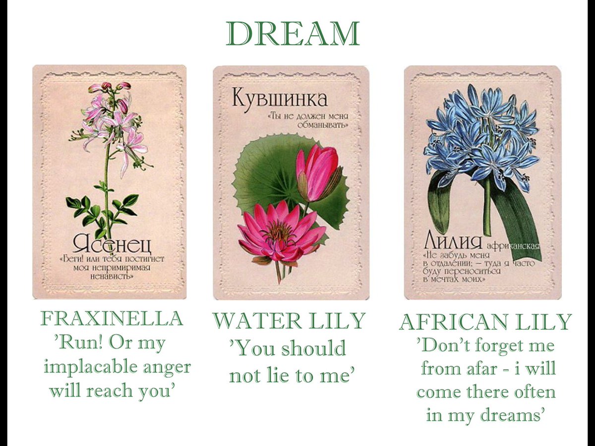 OliverSonder's tweet photo. So, the theme of the language of flowers is one of my favorite ones, that's why I took it pretty seriously to select flowers for each of characters. Below are cards with a translated name and description!!

Enjoy!! 💘 https://t.co/yS0mZDskDP
