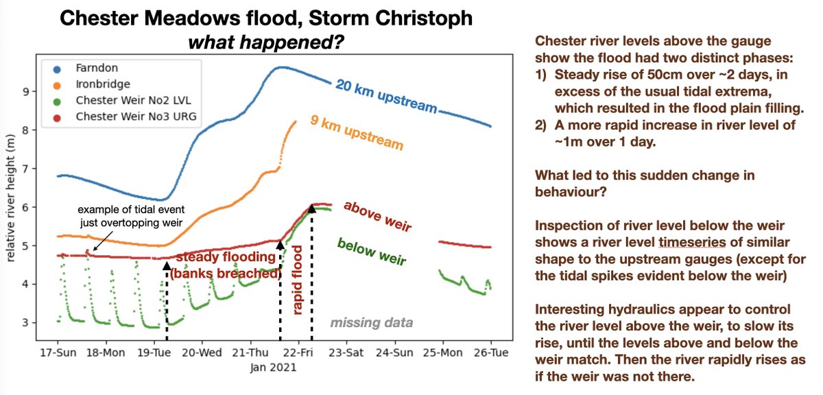 Jeff Polton tweet media