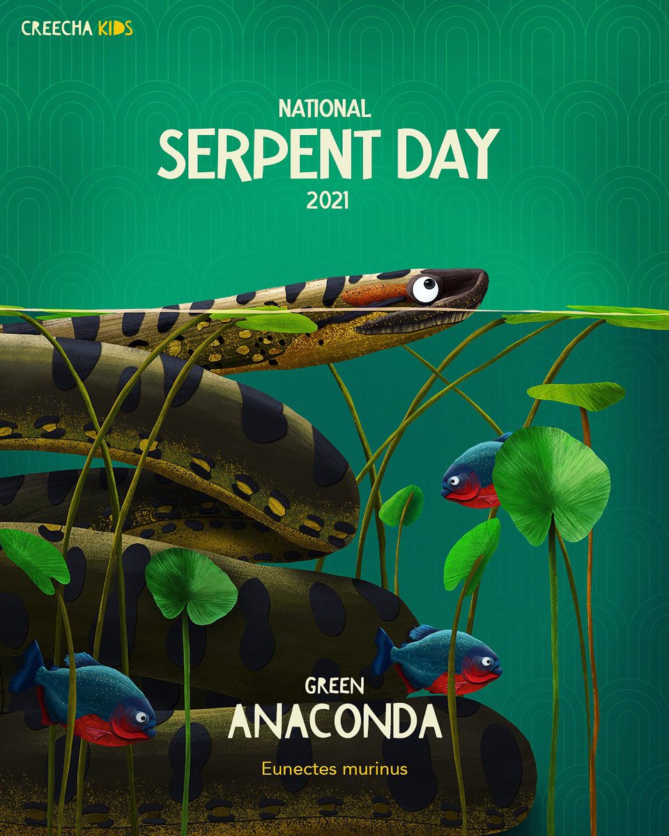 Creecha Kids tweet media