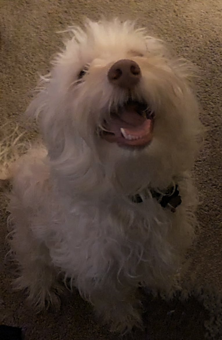 freshstaticjo's tweet image. I see no difference