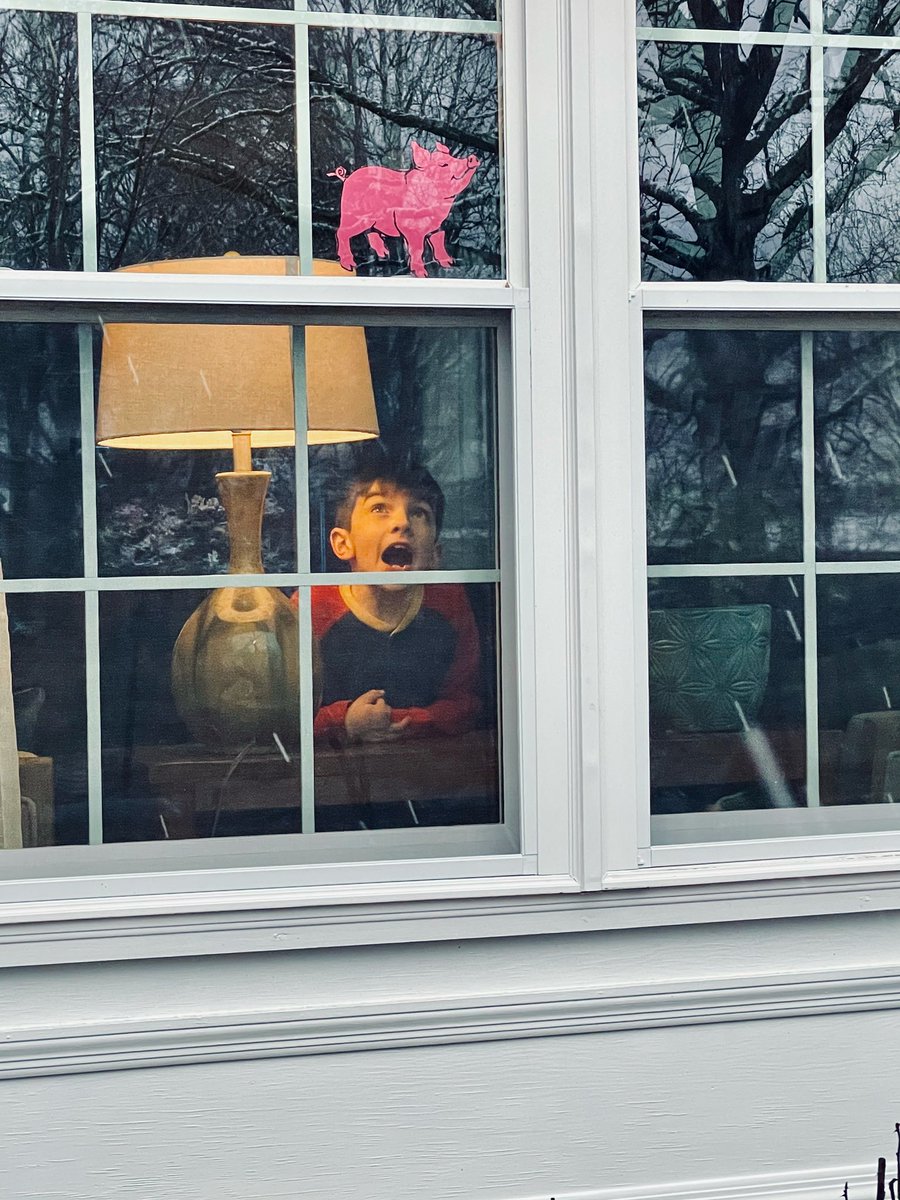 The secret is out! Thank you @MCS__Foundation for always supporting our One Book Blitz! Charlotte’s Web it is! Look for Wilbur in our neighborhood windows! <a href="/FHRaccoons/">Foothills Elementary</a> <a href="/MC_Schools/">Maryville Schools TN</a>