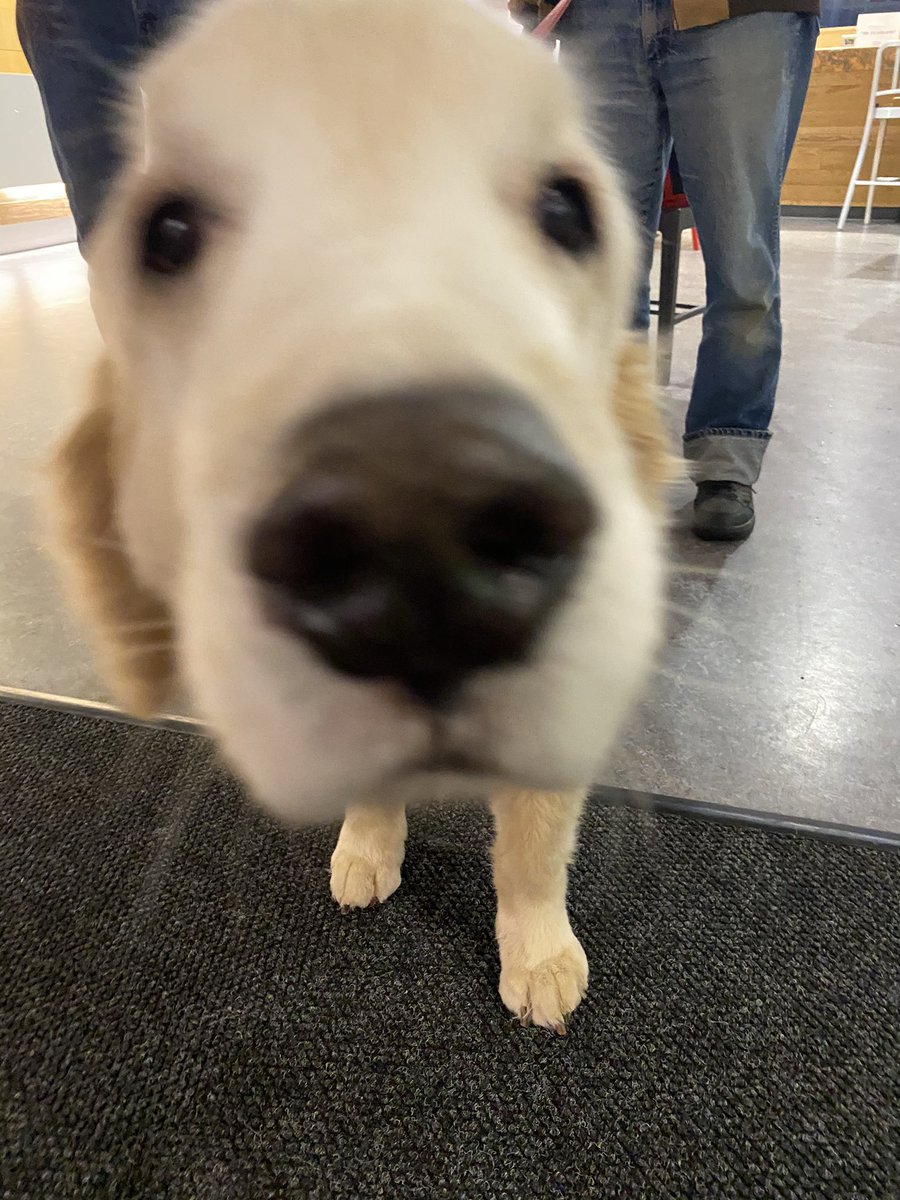 Bam-Bam says “come over to Folger...we need some script he’s behind our ears!”  Here from 6-7:30PM TONIGHT!!! <a href="/IUPOHRLD/">IUP Housing</a> <a href="/IUPAWARE/">HWP Peer Educators</a> <a href="/IUPedu/">Indiana University of Pennsylvania</a> @IUPDining <a href="/IUP_Music/">IUP Music</a>