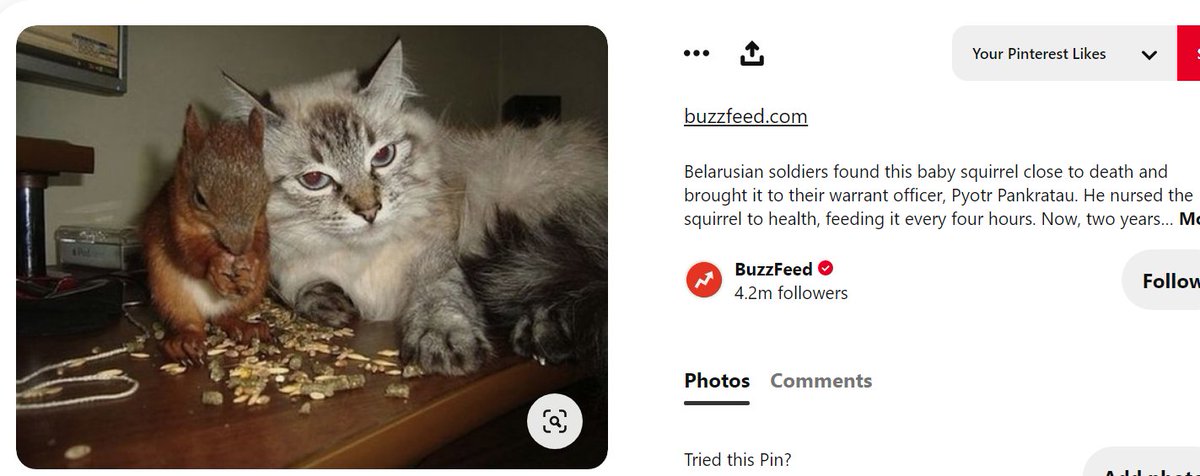 WOW he even owns this internet-famous squirrel! Wait, no he doesn't, the squirrel was rescued by a Belarusian soldier! 10/