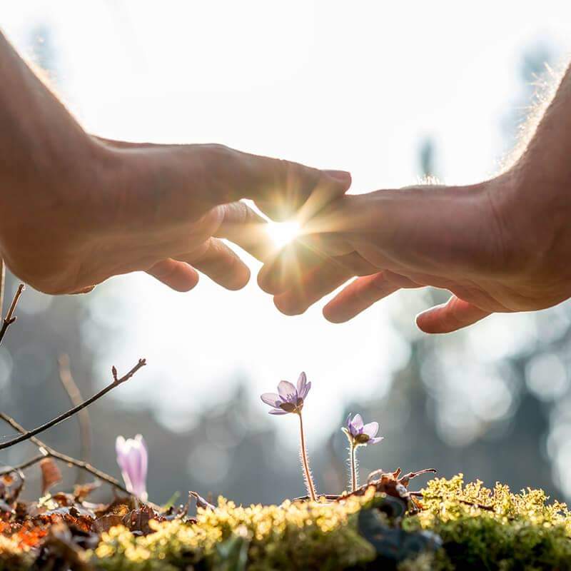 PatrickBustos77's tweet photo. Lord, merciful and loving God, thank you for another day of life. We pray for your love and guidance as we continue with our day. We humbly ask for your protection against the Covid19 Virus, especially the elderly and vulnerable. In Jesus name, Amen. #LearnLit #QuickTweet04 https://t.co/6vPG7Jc7Oj