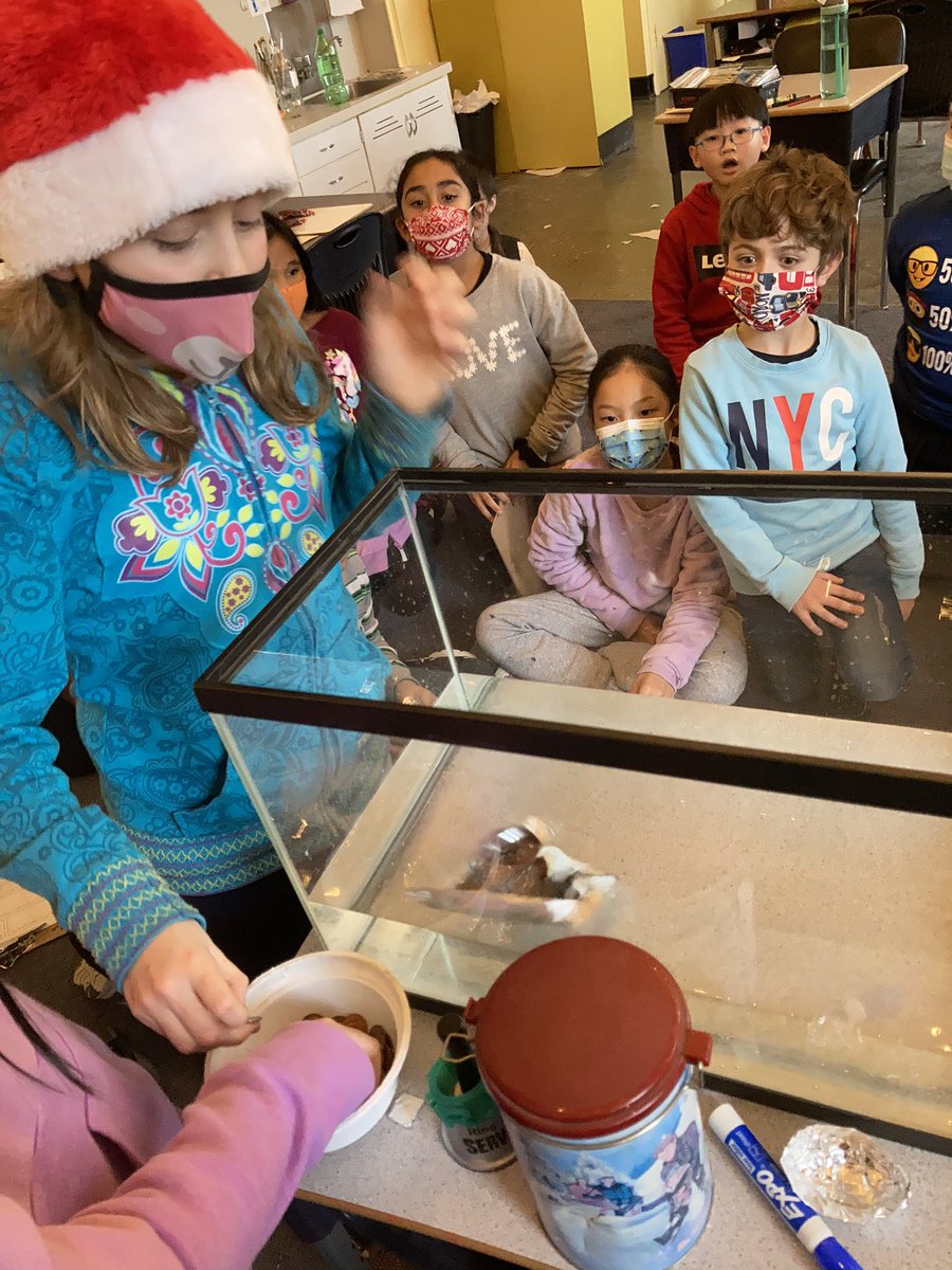 Day 1: Each day I will post a picture from a day in the life of an educator, without explanation and nominate another to take the challenge. That’s 7 days, 7 pics, 7 nominations. I was nominated by <a href="/ejhoang/">Eliza Hoang</a> <a href="/msmelisa01/">Ms P</a> Today I will nominate <a href="/MrHongsClass/">Mr. Hong's Class</a>