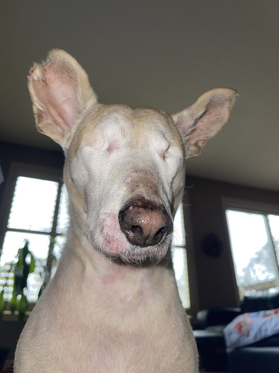 Cabo has been so busy being his silly self, he forgets to post a selfie every once in a while!