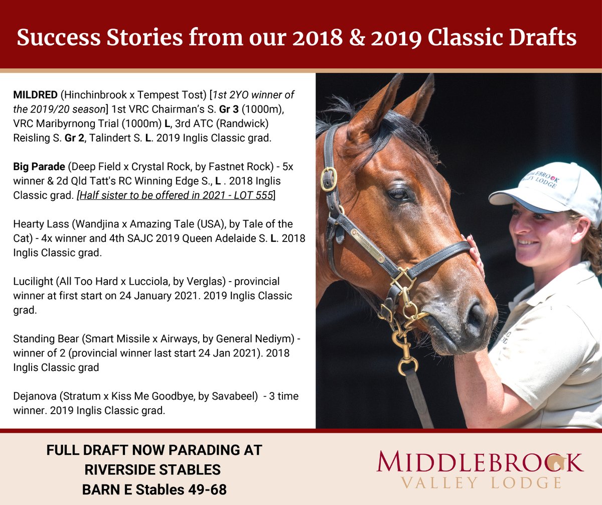 Middlebrookstud's tweet photo. @inglis_sales Classic Draft 2021 now parading at #RiversideStables https://t.co/ITDw0VQSuv