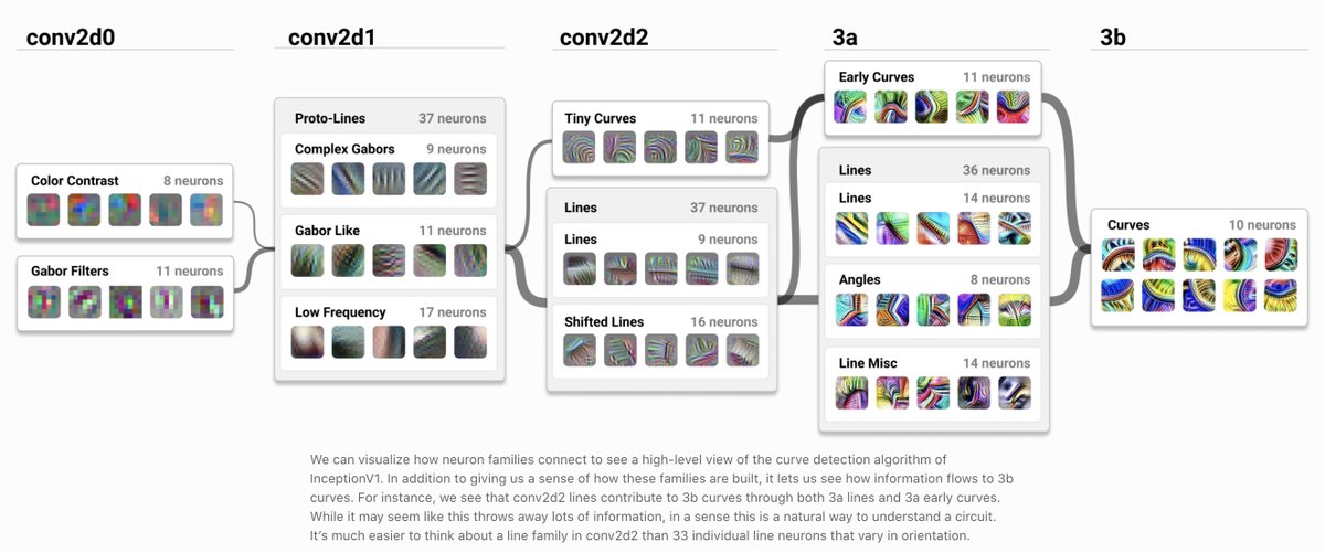 Excited to share a new paper, Curve CircuitsWe reverse engineer a non-trivial 50k+ parameter learned algorithm from the weights of a neural network and use its core ideas to craft an artificial artificial neural network from scratch that reimplements it https://distill.pub/2020/circuits/curve-circuits/