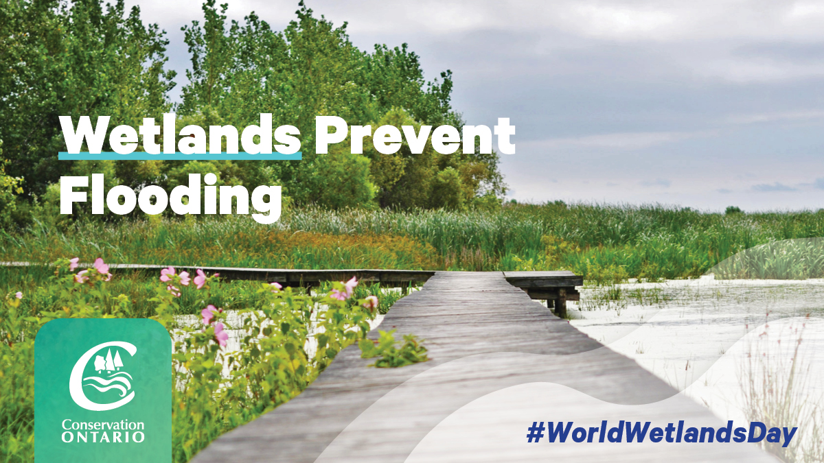 Credit Valley Conservation tweet media