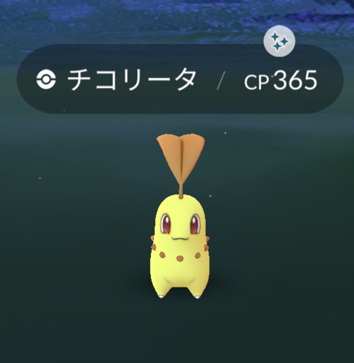 まことポケモン盾伝説 準伝説 色粘り中ほぼポケモン日記 全国図鑑6 8 ポケモンgoよりチコリータお迎えしました ポケモンgo チコリータ 色違い まことポケモン盾伝説 準伝説 色粘り中ほぼポケモン日記 全国図鑑6 8 ポケモンgoよりチコリータお迎えしました ポケモンgo チコリータ 色違い