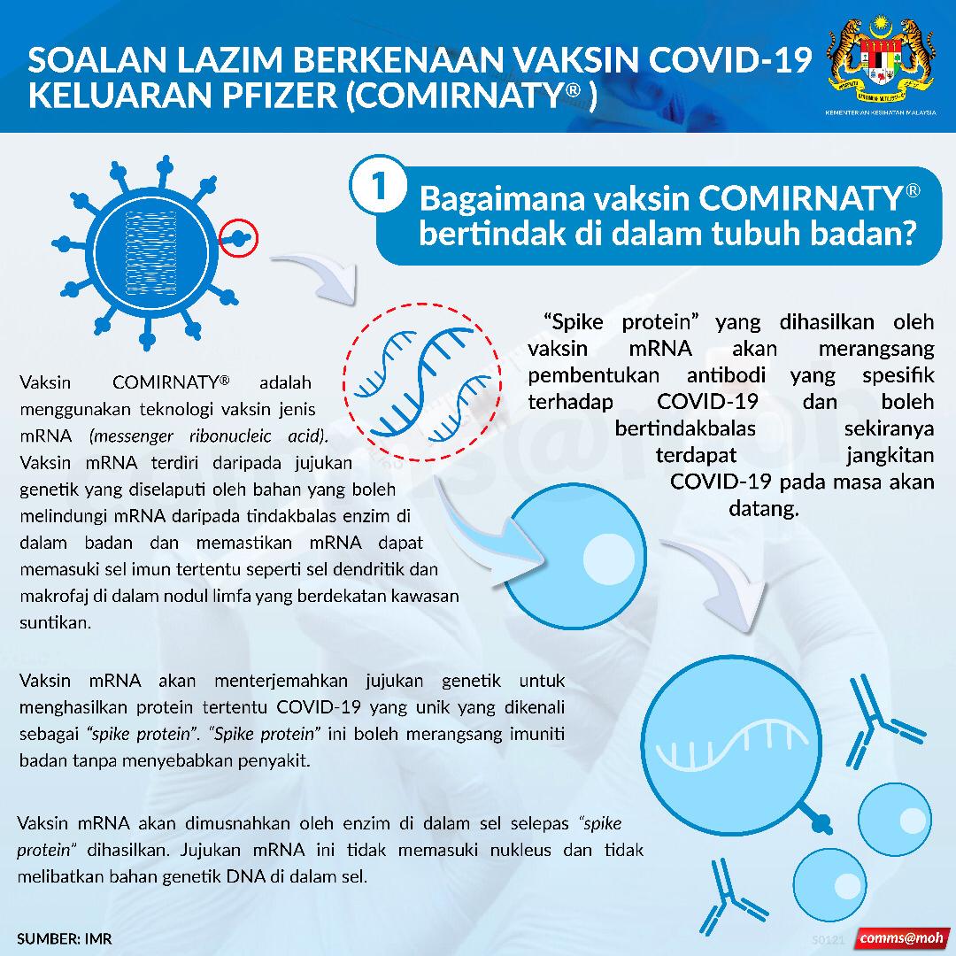 ØªÙˆÙŠØªØ± Kkmalaysia Ø¹Ù„Ù‰ ØªÙˆÙŠØªØ± Pfizer Bagaimana Vaksin Comirnaty Bertindak Di Dalam Tubuh Badan Faq Ini Disediakan Dengan Kerjasama Institut Penyelidikan Perubatan Imr Vaksincovid19 Pfizerbiontech Https T Co Ijs0qq7m0h