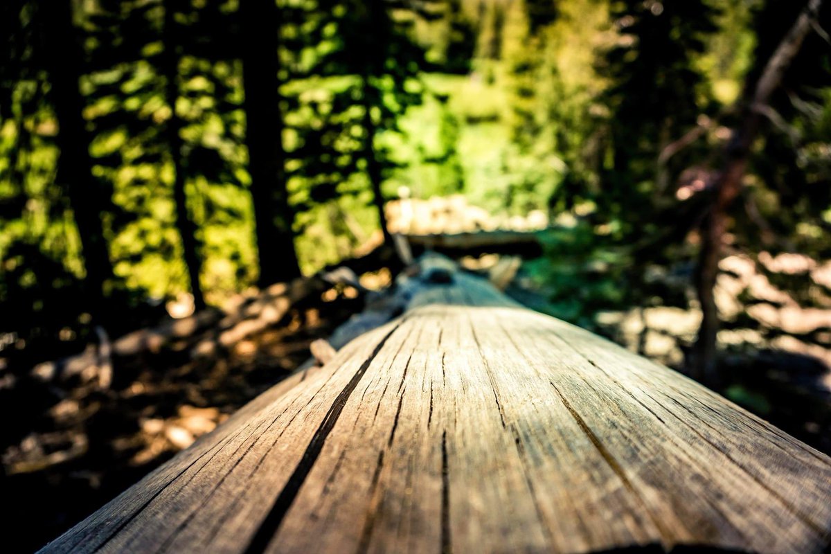 Elisa Terry (@elisaterry19) on Twitter photo elisaterrystudio@gmail.com
#sonyalpha #sonyphotography #sony #sonyalphagallery #SonyAlpha6000 #sonyalphafemale #femalephotographer #womenphotography #womenphotographers #femalephotography #sigma #sigmalens #art #photographyisart #forest #woods #nature #sittingonalog #wood #log elisaterrystudio@gmail.com
#sonyalpha #sonyphotography #sony #sonyalphagallery #SonyAlpha6000 #sonyalphafemale #femalephotographer #womenphotography #womenphotographers #femalephotography #sigma #sigmalens #art #photographyisart #forest #woods #nature #sittingonalog #wood #log