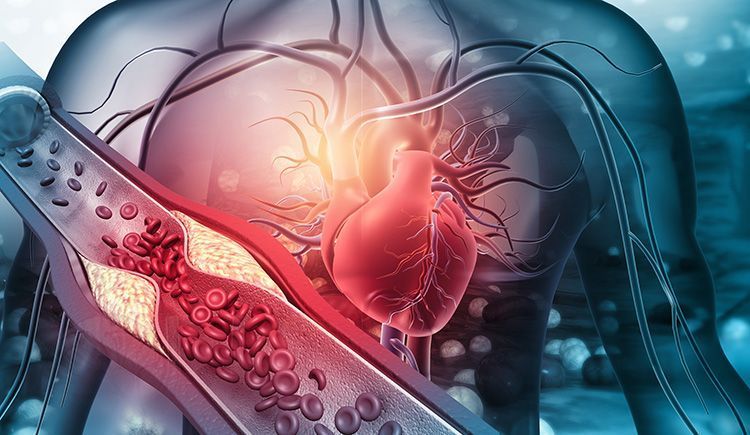 Harvard Alumni Association tweet media