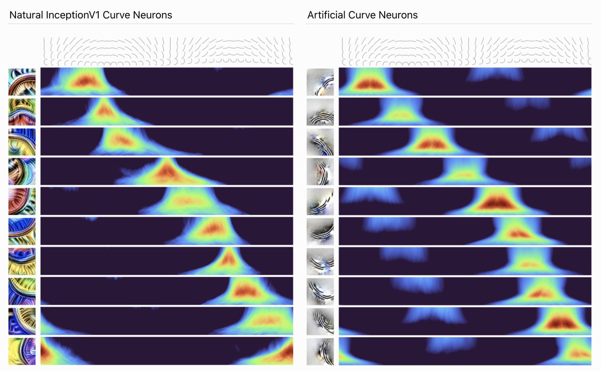 Curve Circuits — A new Distill article by @nickcammarata, @gabeeegoooh, @shancarter, @csvoss, @ludwigschubert, and @ch402. This is the sixth article in the circuits thread. distill.pub/2020/circuits/…