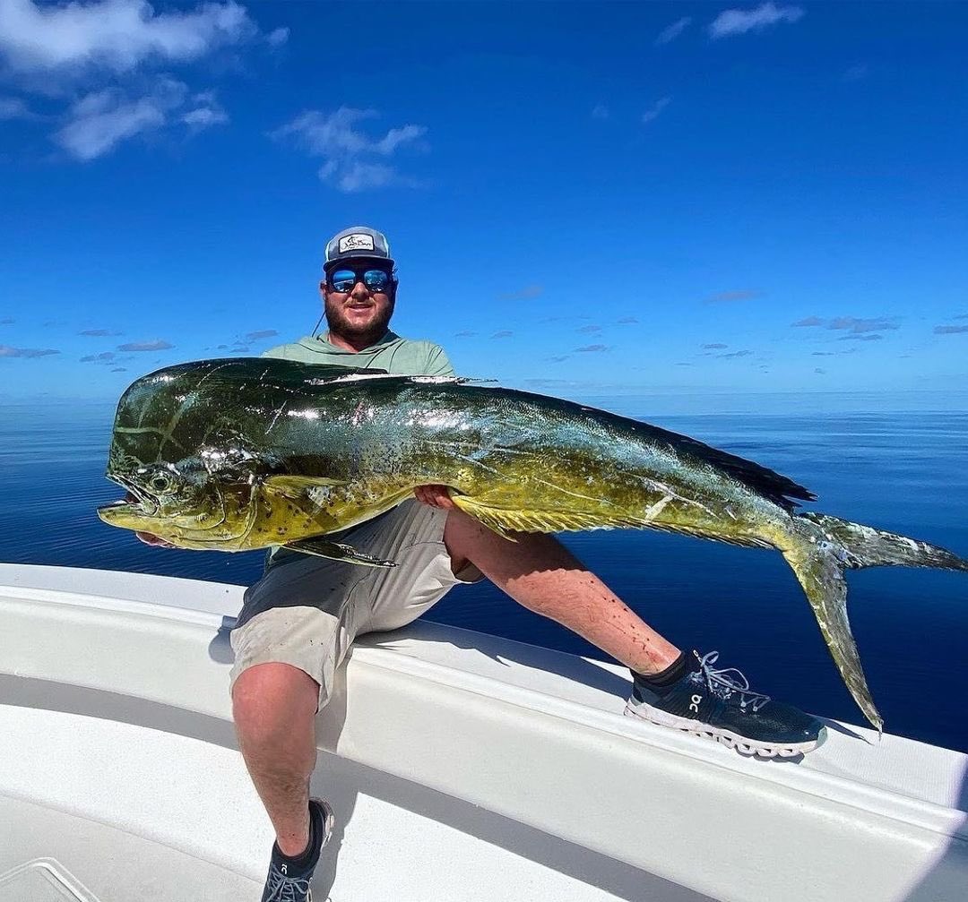 FishTrack tweet media