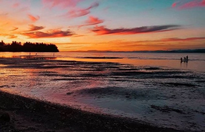 Would you wake up extra early to witness this #Parksville sunrise? ⏰⁠ Let us know in the comments below.

📸 kyfrederick88 
⁠