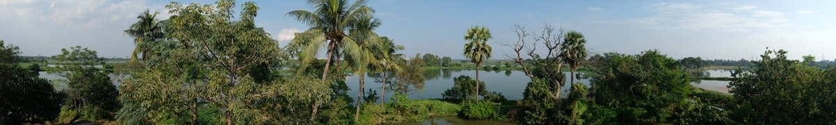 On  #WorldWetlandsDay here's a story about one of the most unique  #wetland system in the world - The East  #Kolkata  #Wetlands, a 125 sq. km vast lattice of fishponds & farmlands which, each day, converts 750 million litres of sewage & wastewater into fish & fresh produce.
