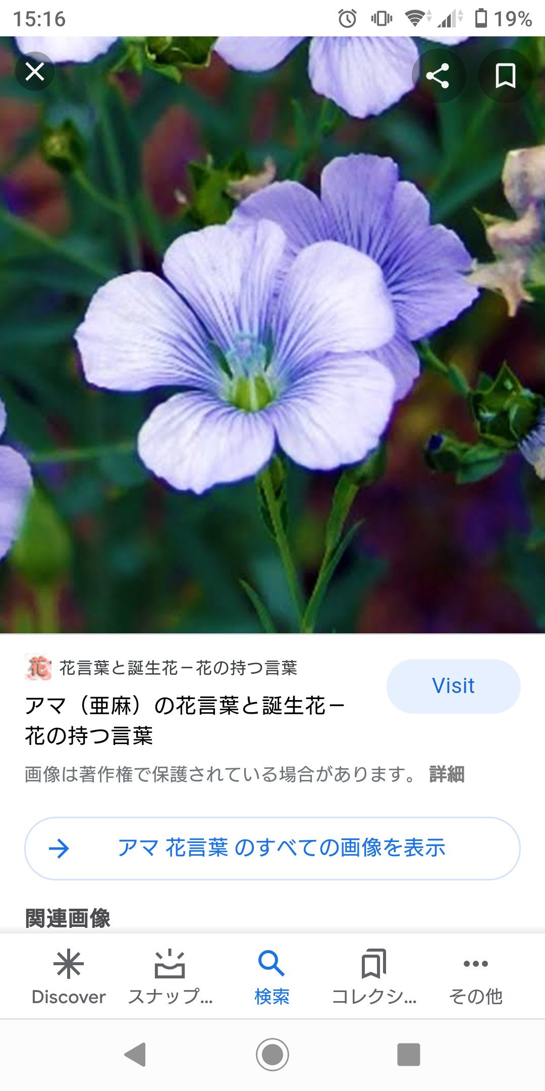 軍曹しゃん V Twitter うわ やべぇ 自分の誕生日の花言葉 昔 師匠に この気持ちを大切にしなさい と言われた言葉で 鳥肌たった アマ 亜麻 の花言葉 あなたの親切に感謝します ６月３日 花言葉 誕生花 T Co awi1tarm Twitter