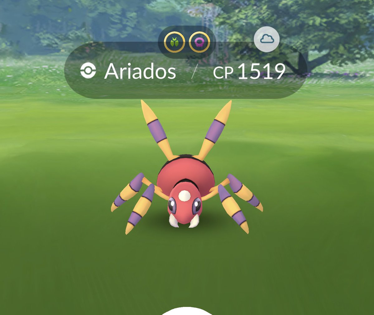 Arceus_World's tweet image. #Ariados  💯1519 L30 BOOSTED

24.912510, 121.211220

@Nael_Gwe @MyLoveSkarsgard @AdnanAhmed11444 @PoGoRetweets @You8MyCookies @MilinShiny @Smarty2442 @RIS03012003 #ShinyCheck @LoveForPokemon1 @Pokeshinyhuntr @lin_timmy #PokemonGo