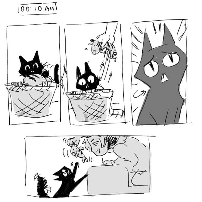 kitten's favorite toy 
#hourlycomicday #hourlycomicday2021 