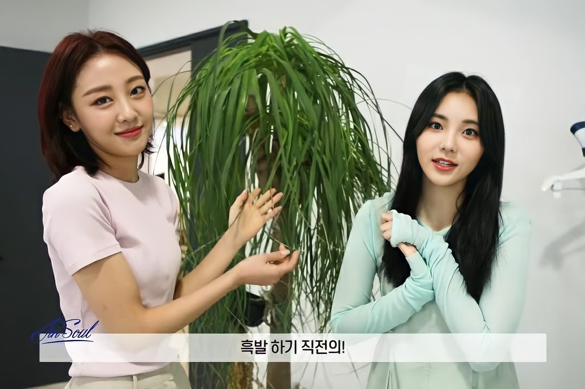 #이달의소녀 #LOONA #진솔 #JINSOUL #YVES #이브 <a href="/loonatheworld/">이달의 소녀(LOOΠΔ)</a>