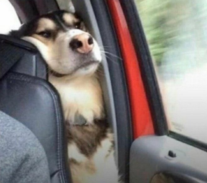 AkiMarlin's tweet photo. 5 mins into kidnapping.........

Enugu Girls : Blother  e jitu two hudnred  Naira ka mu wee golu Okpa na Coke  na 9th mile https://t.co/I8qWcN1HaQ