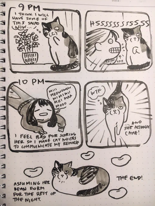 9PM-END! dont know why I thought doing hourlies of a cats life would be more interesting than a humans lol zzzz 