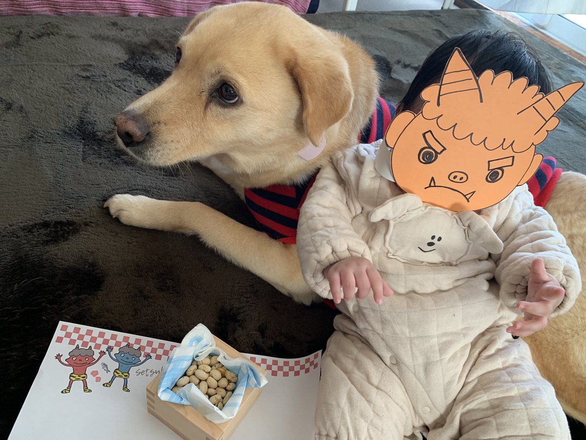 hammy0501's tweet photo. みなさま、おひさしぶりです🐕
今年は鬼役をはじめてのせつぶんの妹に譲りました！
はみーはおねえさんですから▽｀・ω・´▽

#dog #節分 https://t.co/UVjEeQubuM