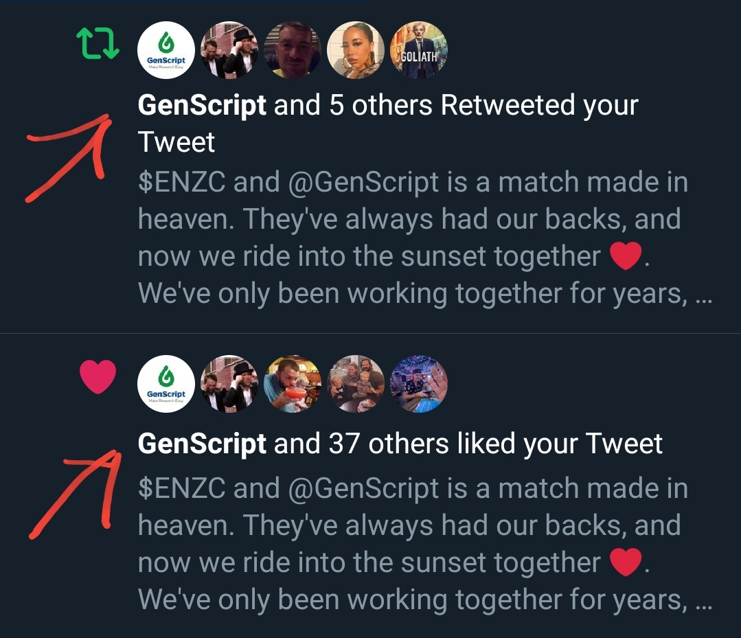 GodfatherCap's tweet photo. $ENZC - @GenScript on behalf of Enzolytics Shareholders, we love you too! ❤ Thank you for your support and may our businesses prosper together https://t.co/ABSSVcDxgj