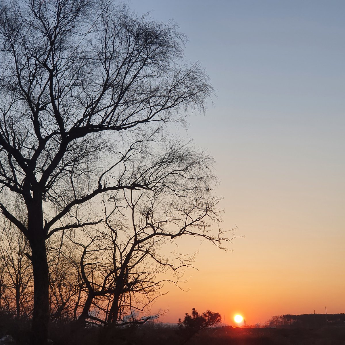 b11074's tweet photo. #sunup https://t.co/zci8z5BGfm