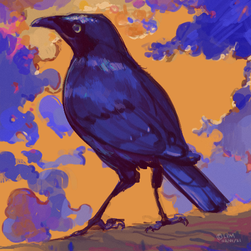 Belacqua_Fish's tweet photo. 02/01/2021, Bird! I’m actually sort of proud of this one. #procreate #sketch #sketchbook https://t.co/wPUJ7yTk2F