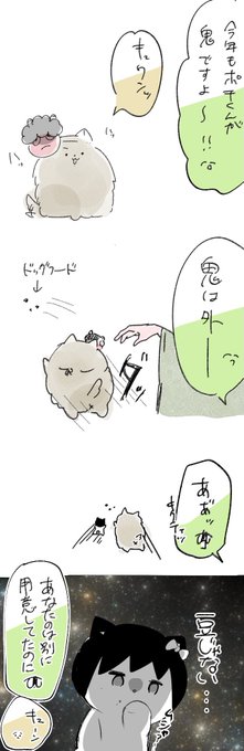食い意地キクティ 