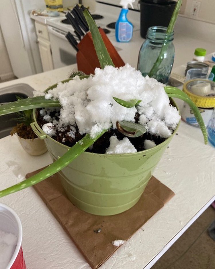RochesterKey's tweet image. Today’s Kindness Challenge was to recycle snow to water plants! We got this idea from Key Club International’s monthly newsletter, and we’re so excited to have other challenges related to saving water later this month! Thank you to everyone who participated!💧