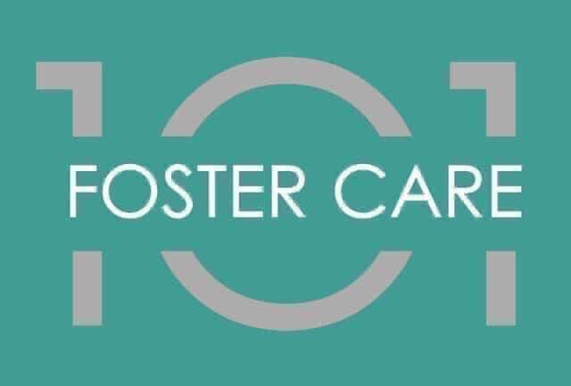 called2careLC's tweet photo. Join us Thur. Feb. 25th at 6 for our virtual Foster Care 101 Info Session. You will receive an overview foster care, learn about various agencies, and hear stories of families who have chosen foster care. Click the link below to register.#fostercare 

https://t.co/1ZQaBzCdmP https://t.co/49KfwlOQGb