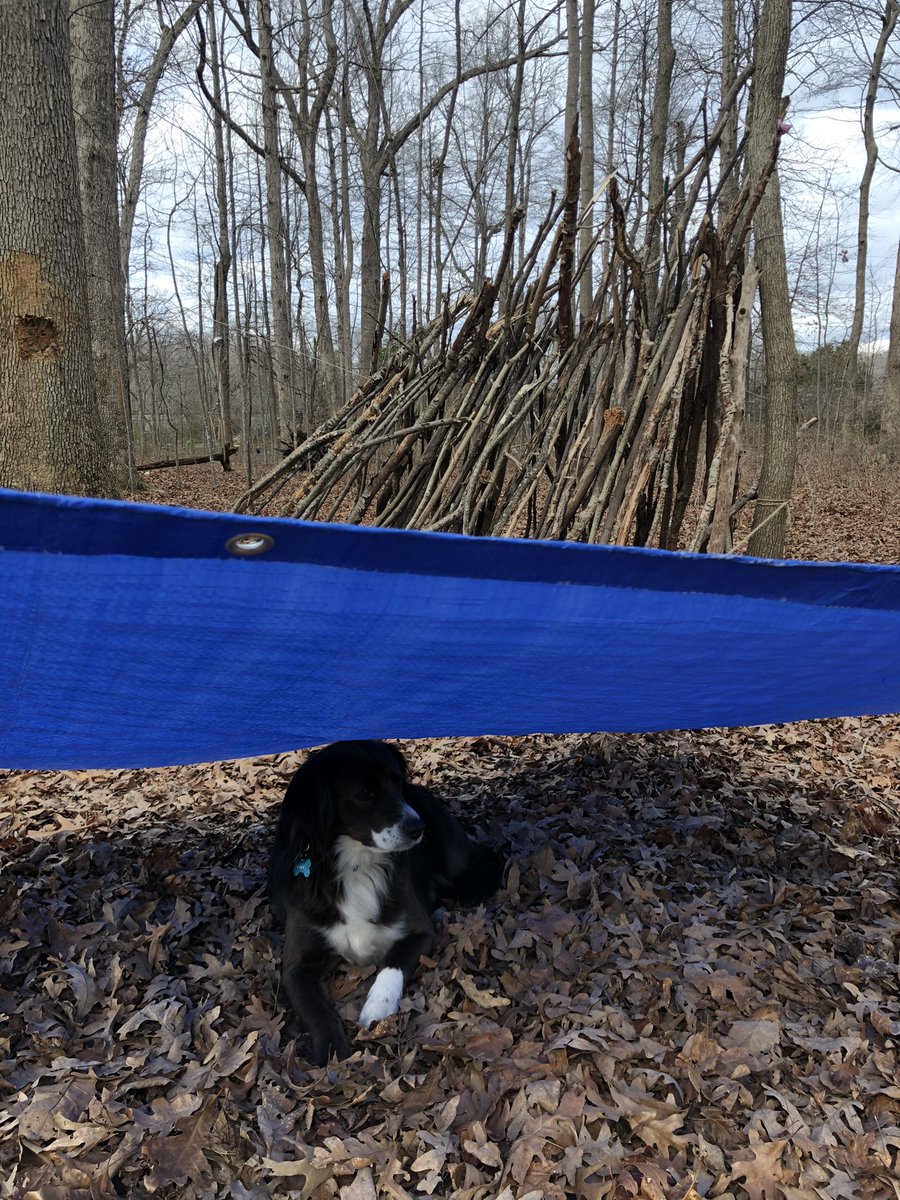 macen_lantzman's tweet photo. Been waiting for the right time to post of Otis, and I think today’s the day. I’m gonna miss you buddy 🥺 #ElonEd #COR424 https://t.co/cgQ4JkhwRZ