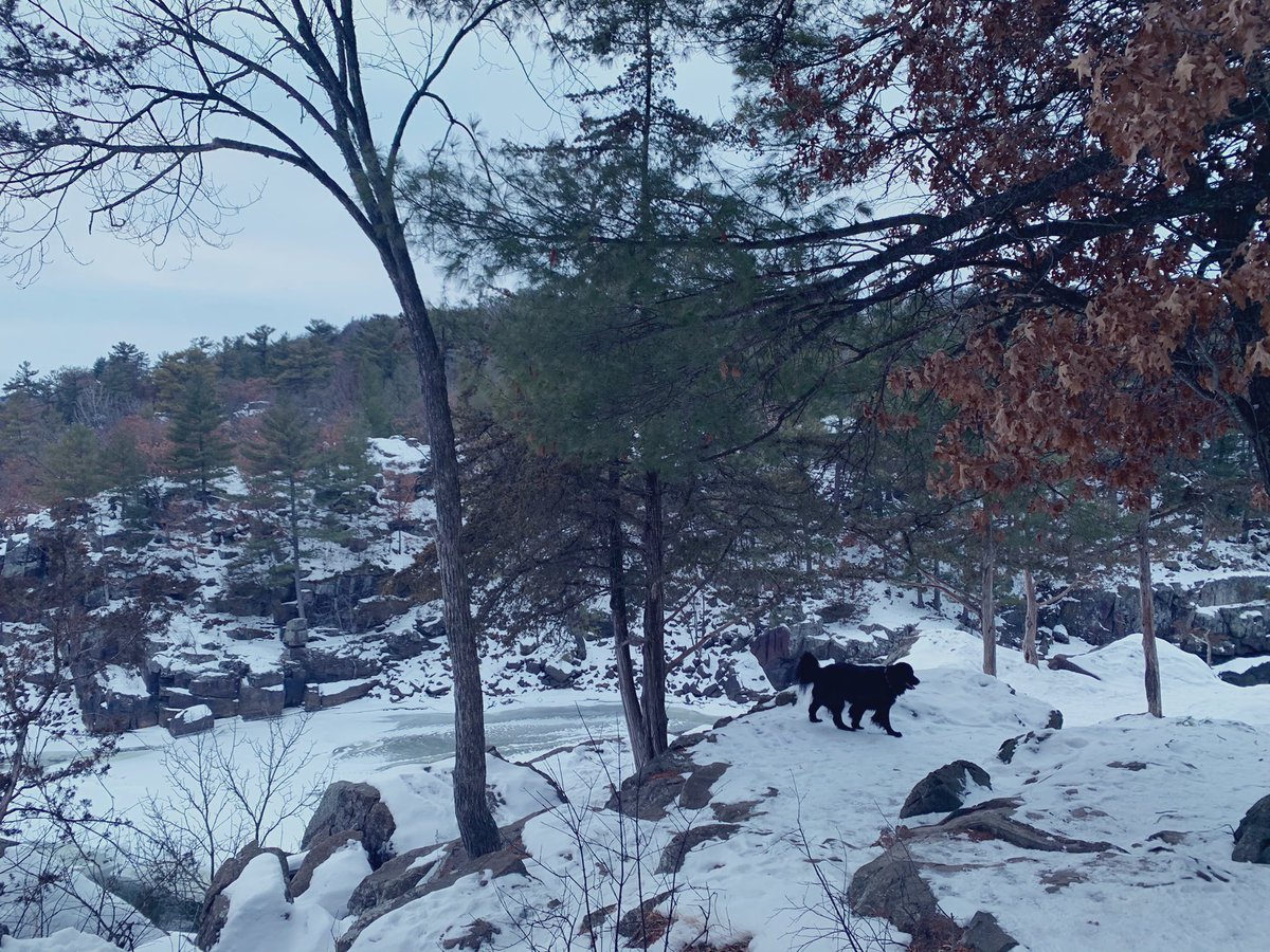 McDermedFox9's tweet photo. Mondayβs are for winter hikes with Millie π #wildriverpatk #interstatepark #mn #wi #optoutside @mndnr https://t.co/nqDTK3DiFn