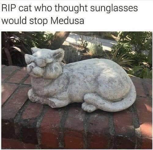 Classical Studies Memes tweet media