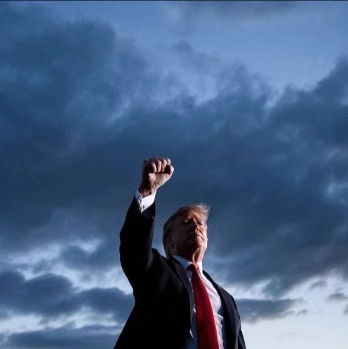 love_japanxxx's tweet photo. @NotBarron1946 @JohnCitizen1946 @Twitter @jack #MABA #FightForTrumpToSaveAmerica https://t.co/SKUt6gXGzv