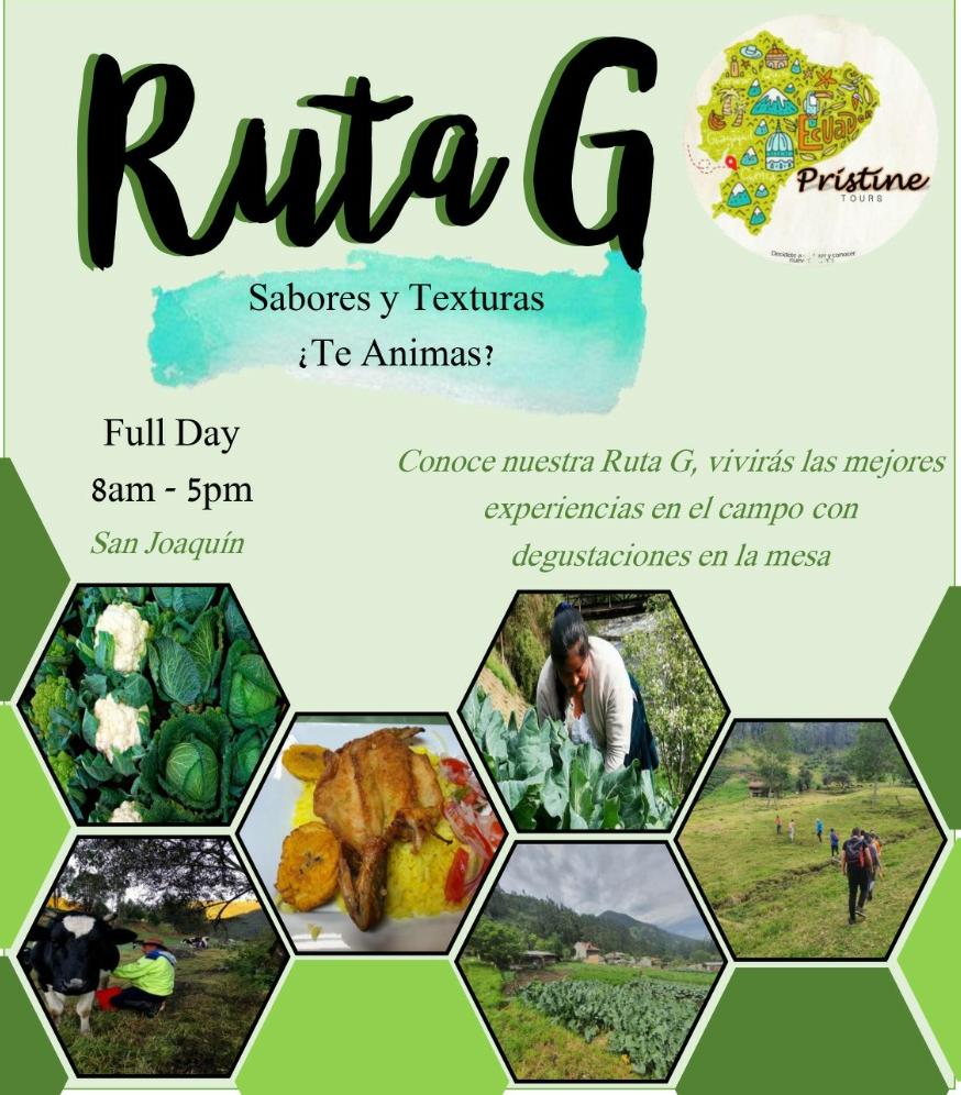 Hoy les presentamos nuestro cuarto proyecto “La Ruta G” 
☀️Sabores y texturas ¿Te animas ? 
Visitaremos San Joaquín y podremos degustar de las delicias que vienen consigo.
No te lo puedes perder !💥
#Turismo #Ucuenca #hospitalidad
 #AsoTurismo #EventosUCuenca 
#UCuencaActiva