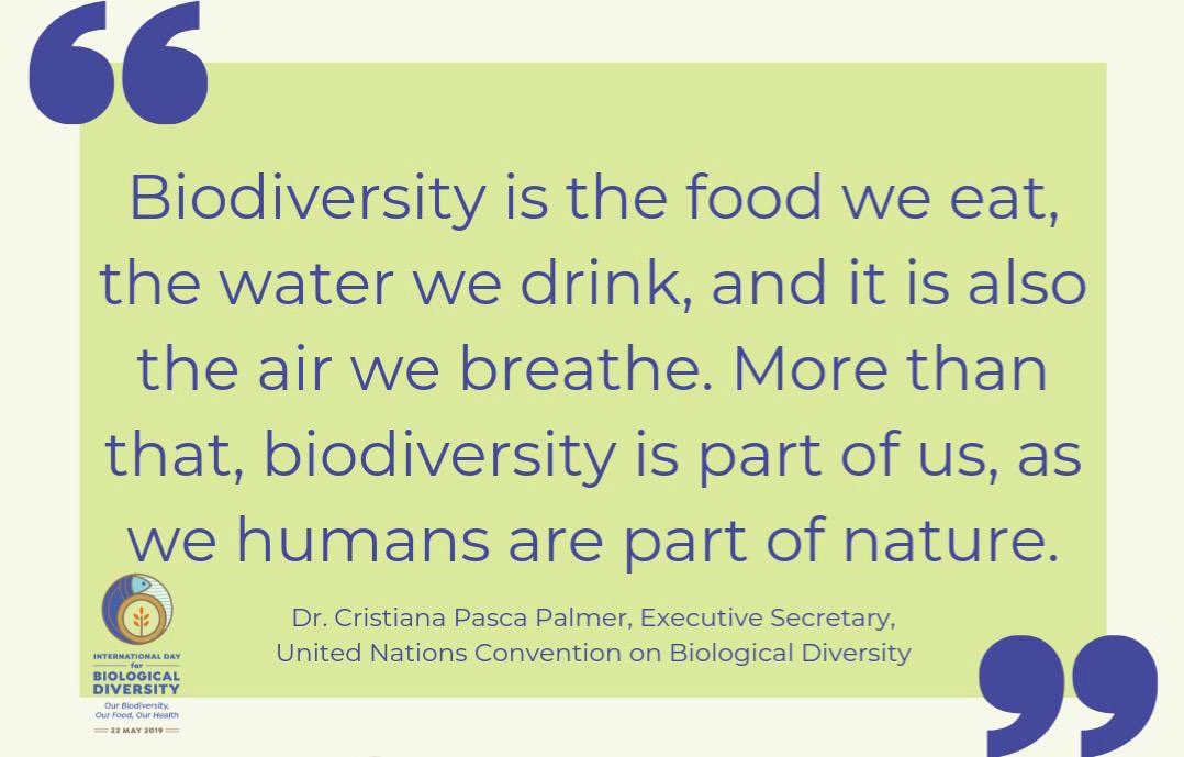  #Democrats will support the protection of species and wildlife habitats around the world, including by advancing the goals of the United Nations Framework Convention on Biological Diversity & encourage other countries to join us in conserving 30 percent of the planet by 2030. 2/8