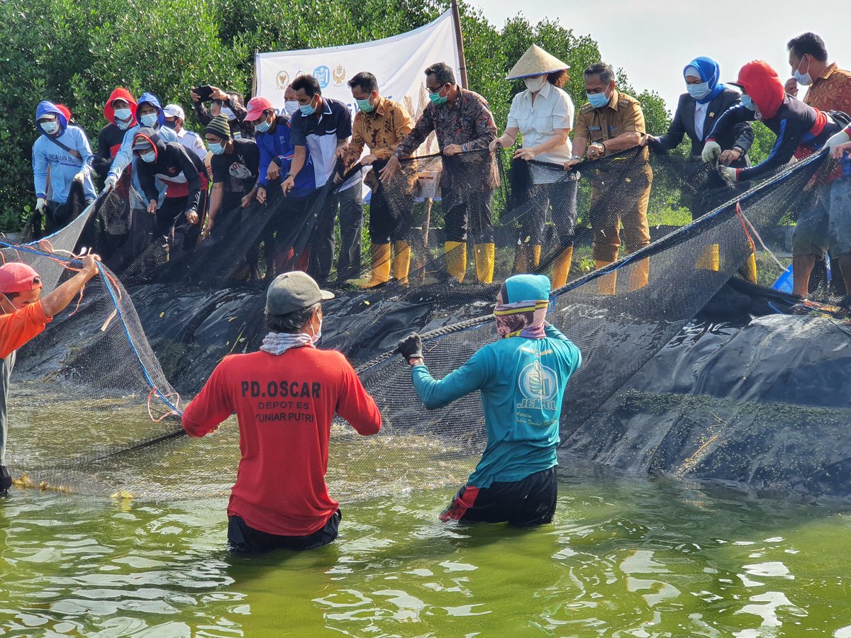 Lilly Aprilya tweet media