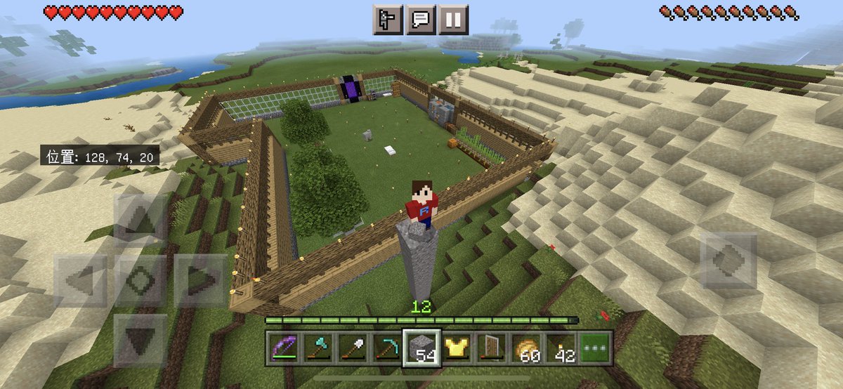 夫婦でマイクラ