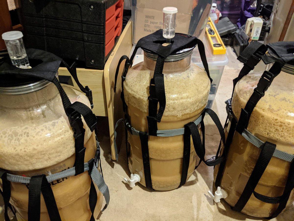 Added 9oz of dry hops to 15 gallons of a #homebrew hazy IPA. Brewed this on Saturday. The first set of hops go in at the peak of fermentation, and the second set goes in two weeks later.

There'll be 1.5 pounds of hops in these bad boys when all is said and done! 🍻🍺