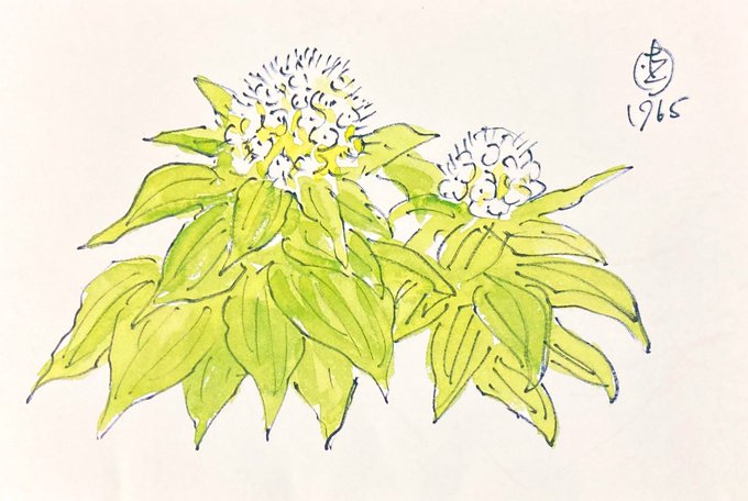 包装 高画質 のtwitterイラスト検索結果 古い順