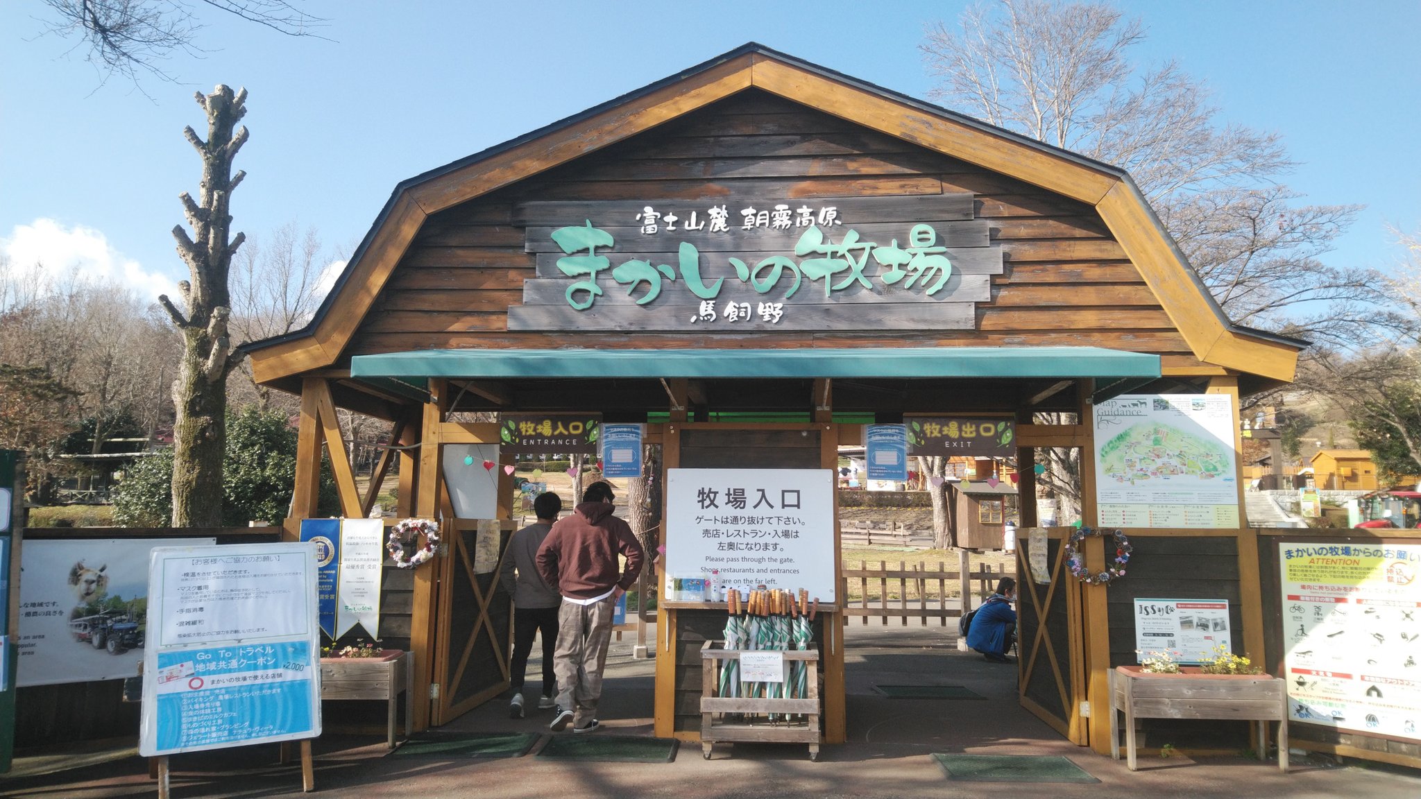 あすかファーム いちご販売12月から6月 まかいの牧場のプリン美味すぎる ここの牧場は牛乳 ソフトクリーム ヨーグルト 飲むヨーグルトなどどれも美味しい これぞ真のスペシャリテ 是非味わって欲しい うちもこのくらい美味しいいちご作りたい ま