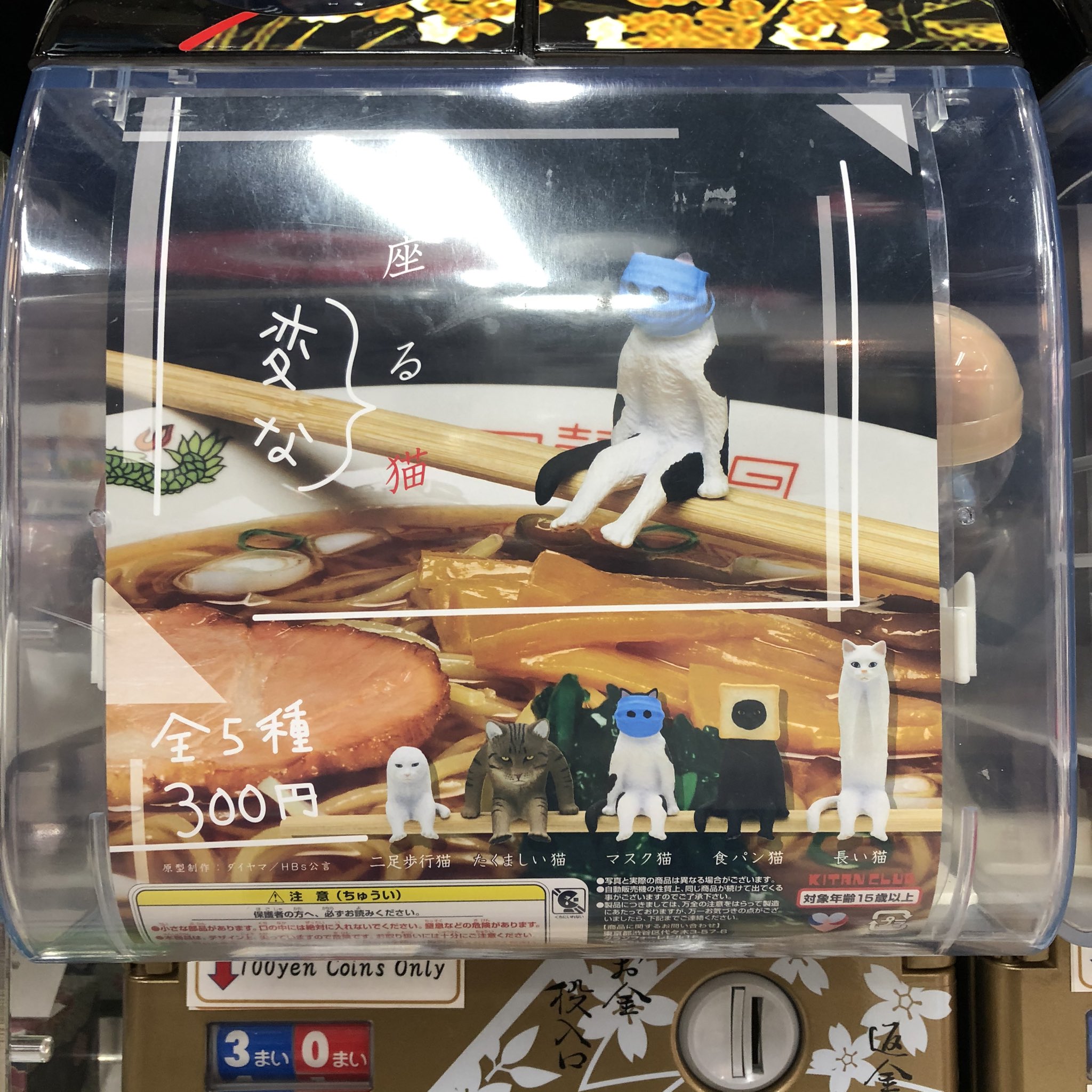 がちゃ処 On Twitter 奇譚クラブ 座る変な猫 入荷しました 浅草 がちゃ処 奇譚クラブ キタンクラブ 座る猫 座る変な猫 ガチャガチャ ガチャ ガシャポン ガチャポン Https T Co 8xclnsxrkt Twitter
